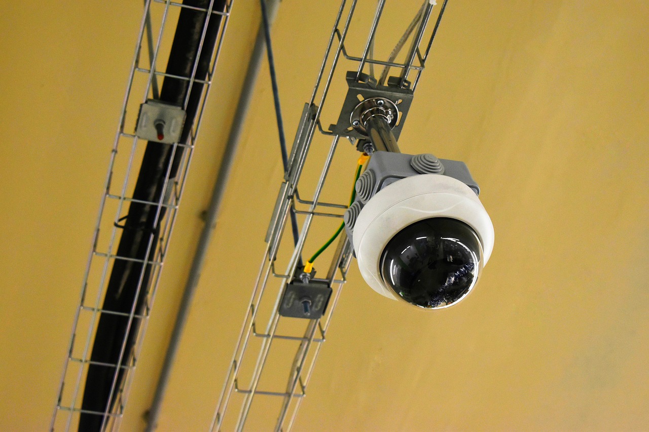 缅甸云斯顿蓝莓爆珠:巴南区大平台税务代理排名